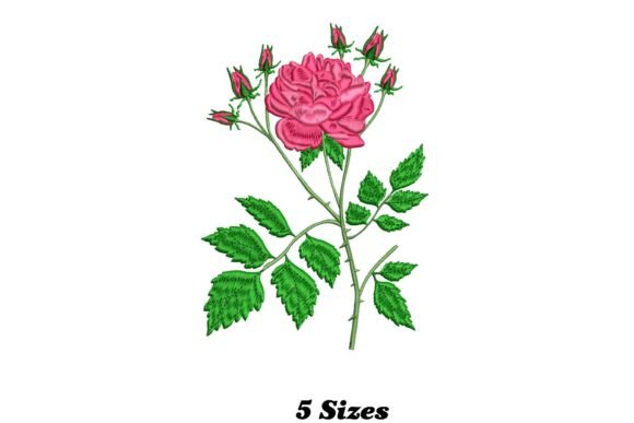 Beautiful Pink Rose: A Designer’s Review for Merch